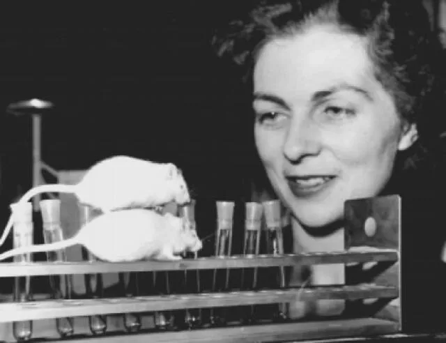 Anne McLaren, precursora de la fecundación in vitro. Foto: difusión