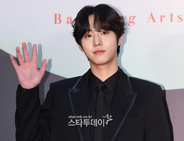 Hyun Bin, Ahn Hyo Seop, Baeksang Arts Awards