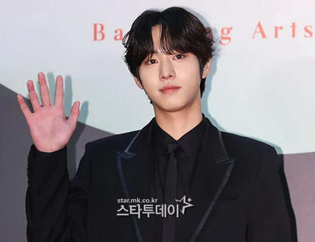  Ahn Hyo Seop en los Baeksang Arts Awards. Foto: Star Today   