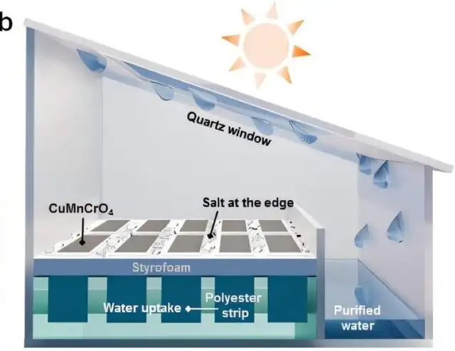 La acumulación de sal ocurre debido a la formación de cristales en superficies calientes, lo cual bloquea el transporte de agua y la absorción de luz. Foto: Ecoinventos<br> La acumulación de sal ocurre debido a la formación de cristales en superficies calientes, lo cual bloquea el transporte de agua y la absorción de luz. Foto: Ecoinventos<br>