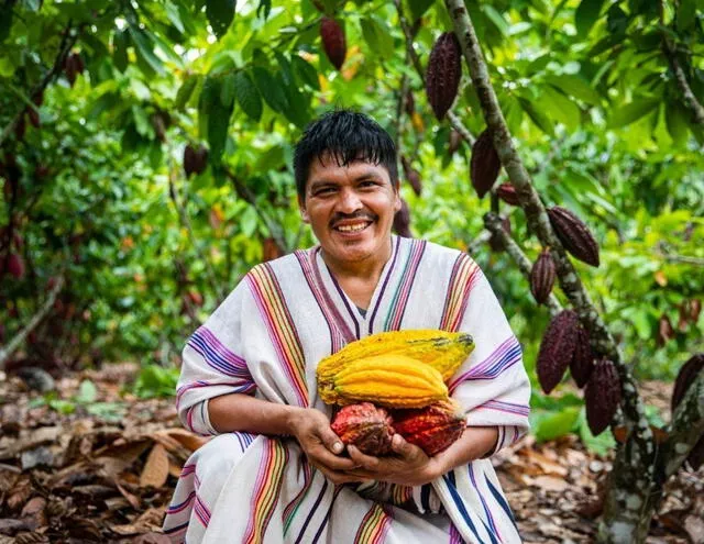 Cacaotero sosteniendo varios cacaos en el lugar de cosecha. Foto: Andina   