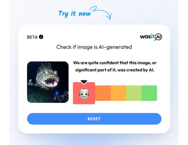 <em>Resultado de la evaluación en WasItAI. Foto: captura de Google</em>   