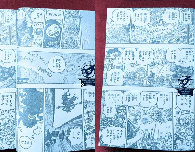 One Piece. Foto: Shonen Jump