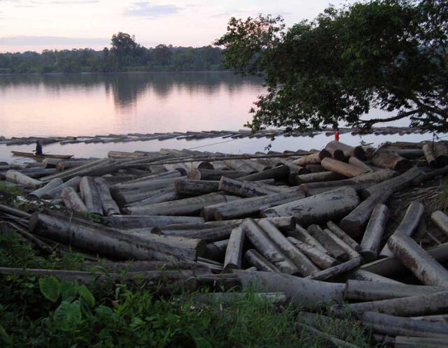 Cuarentena: deforestación en la Amazonía peruana se redujo en más de un 28%