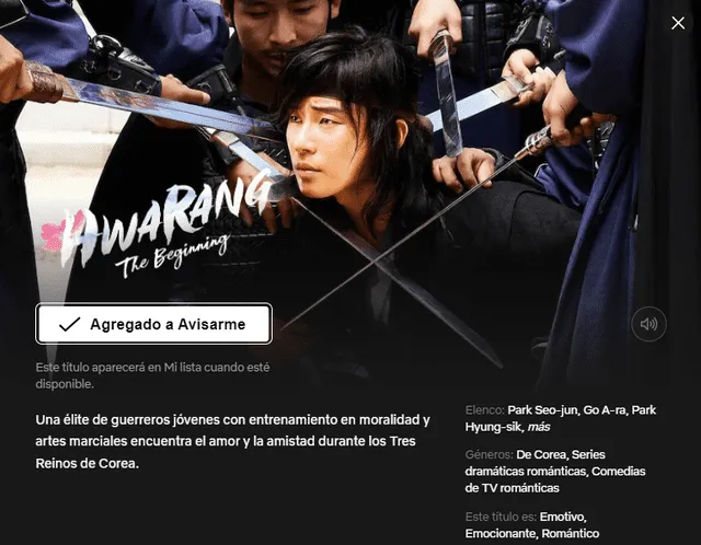 BTS Taehyung V Hwarang Netflix Park Seo Joon Go Ara Park Hyung Sik