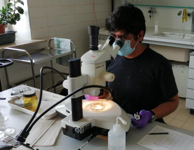 El estudio de microorganismos en la Antártida permite prever posibles impactos del cambio climático. Foto: UCSUR   