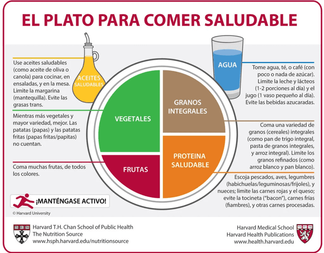  Según los nutricionistas, la mitad del plato debe estar compuesto por verduras y frutas, un cuarto por cereales integrales y el último cuarto por proteínas saludables. Foto: Harvard Medical School   