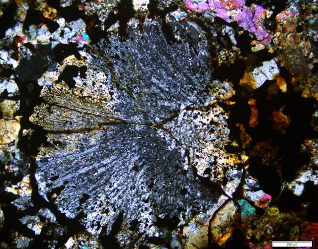  Cóndrulo formado dentro del meteorito Maryborough. Foto: Museo Victoria   