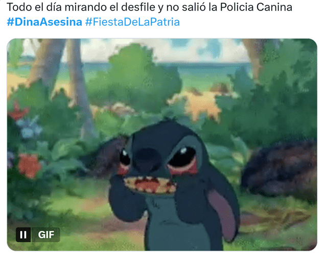 Parada Militar 2025 | Policía Canina | Dina Boluarte Parada Militar 2025 | Policía Canina | Dina Boluarte