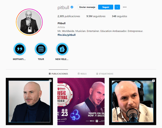 Pitbull Instagram
