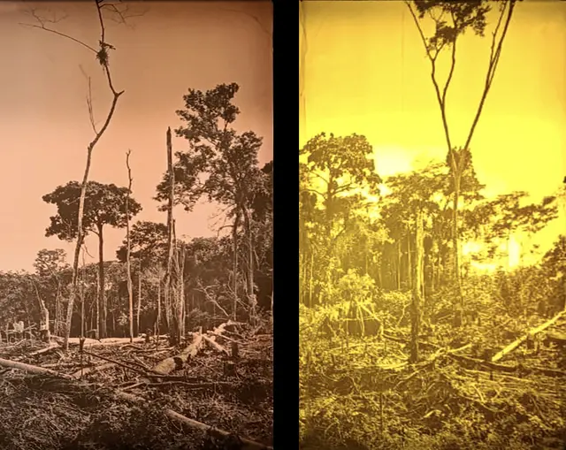 "Amazonas". Imagen: Difusión. "Amazonas". Imagen: Difusión.