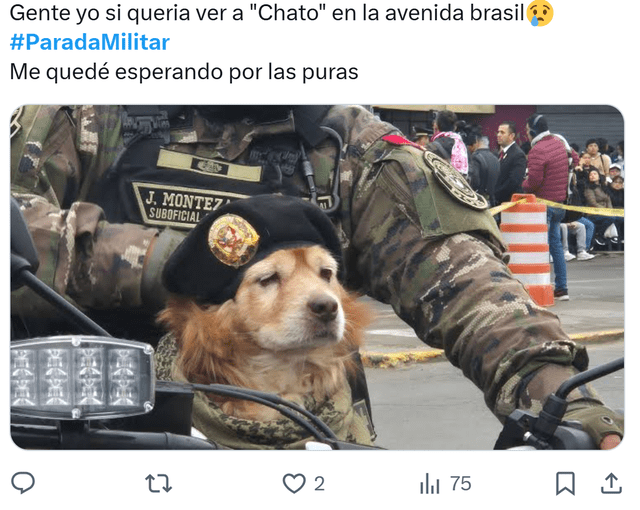 Parada Militar 2025 | Policía Canina | Dina Boluarte Parada Militar 2025 | Policía Canina | Dina Boluarte