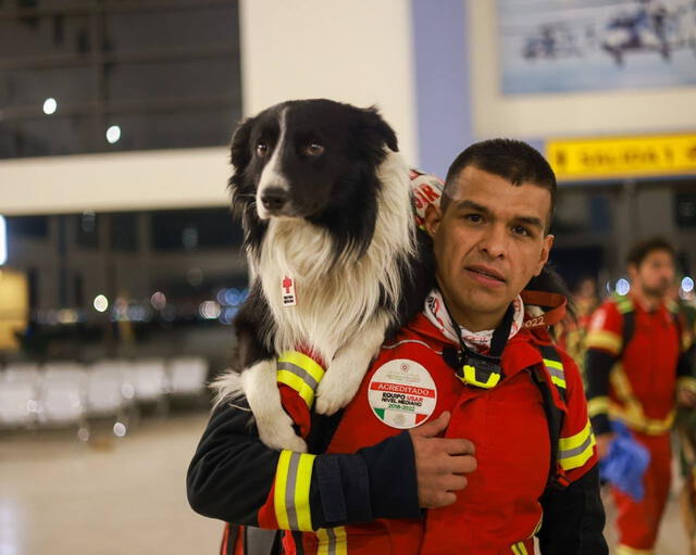  Una importante delegación mexicana ha viajado a Turquía para apoyar con las labores de rescate tras el fuerte sismo. Foto: @m_ebrard/Twitter   