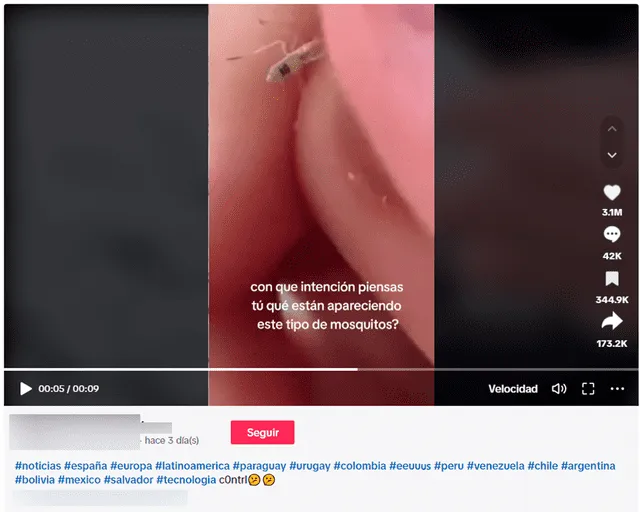  Video viral no expone a “mosquitos con número de serie” de Bill Gates. Foto: captura en TikTok.    