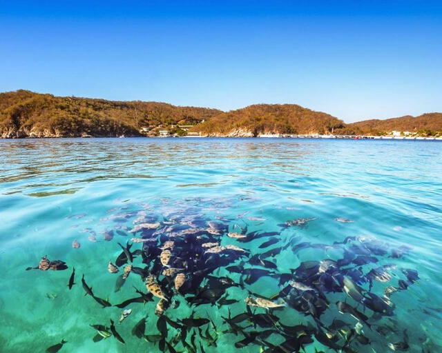 Una de las playas baratas en México es Puerto Escondido, donde puedes practicar snorkel y nadar entre los peces. Foto: KAYAK   