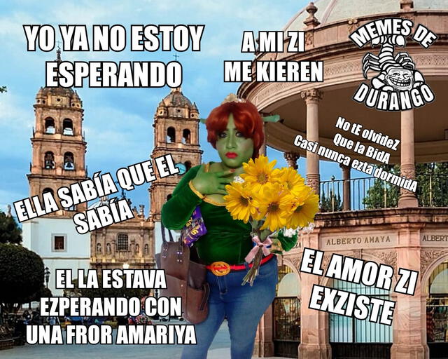 Flores amarillas y los divertidos memes. Foto: X    