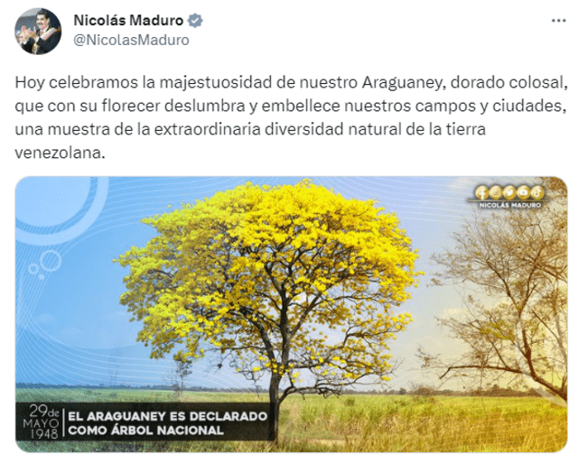 El presidente de Venezuela celebra el Día del Árbol Nacional. Foto: Nicolás Maduro/ Twitter   