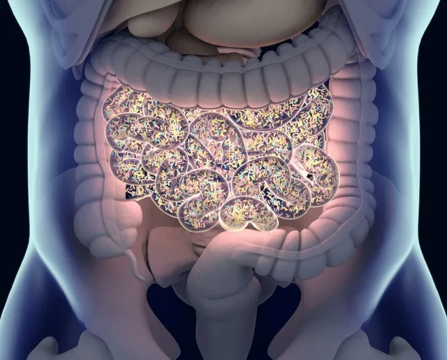  Por lo general, la microbiota intestinal suele ser beneficiosa para la salud, pero en ocasiones puede ocasionar condiciones como el síndrome de la autocervecería. Foto: RTVE   