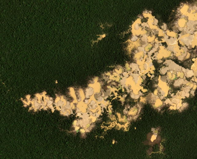  Imágenes satelitales de Mangote, ubicada en la zona de amortiguamiento de la Reserva Nacional Tambopata. Foto: Planet, NICFI / MAAP 