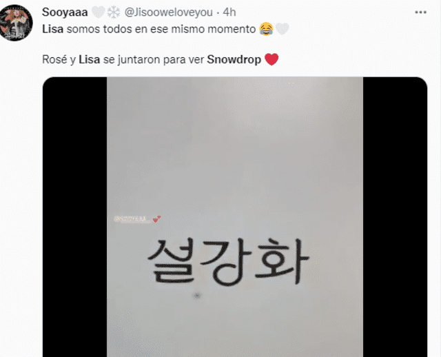 Snowdrop, Jisoo BLACKPINK, Jung Hae In, Lisa