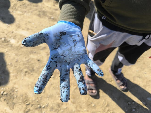 Consecuencias del derrame de petróleo.     Consecuencias del derrame de petróleo.