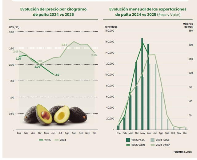 Evolución de las exportaciones de palta peruana. Foto: Fresh Fruit<br> Evolución de las exportaciones de palta peruana. Foto: Fresh Fruit<br>