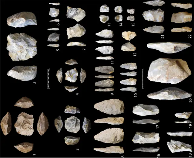  Artefactos líticos recolectados en la zona costera norte y la cuenca del Río Campo. Foto: Science   