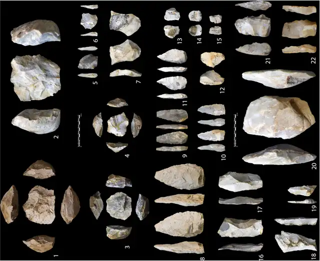 Artefactos líticos recolectados en la zona costera norte y la cuenca del Río Campo. Foto: Science Artefactos líticos recolectados en la zona costera norte y la cuenca del Río Campo. Foto: Science