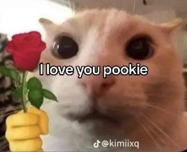 pookie | TikTok | pookie meaning | pookie significado | US | pookie Bear | poki | EEUU