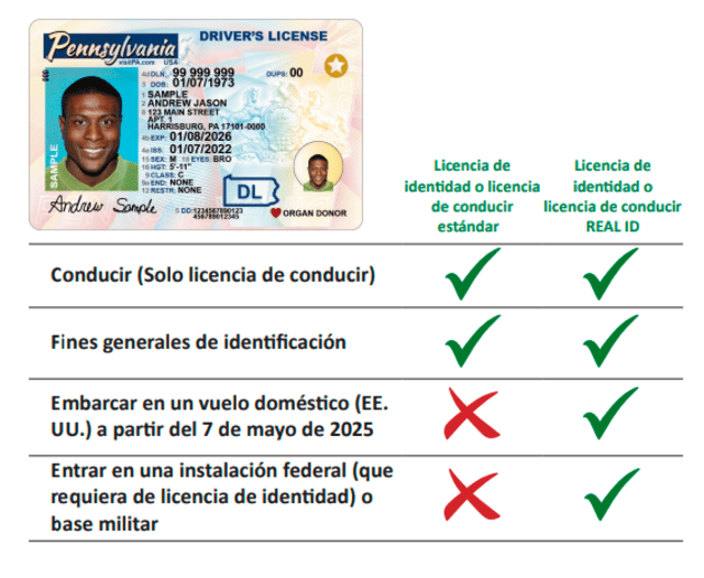 <strong>Diferencias entre la licencia de conducir y el Real ID en Pensilvania. Imagen: Departamento de Tránsito</strong>   