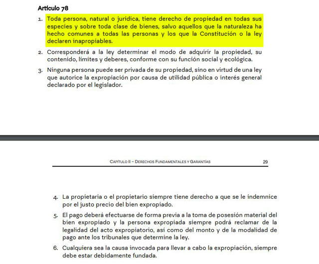 Artículo 78. Foto: captura del documento de la propuesta de Constitución de Chile.