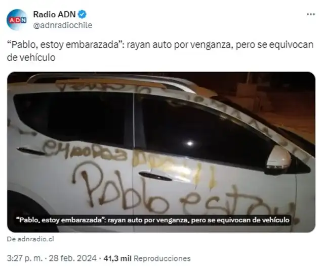  Las imágenes del carro manchado fueron difundidas en redes sociales. Foto: @adnradiochile/X<br>    