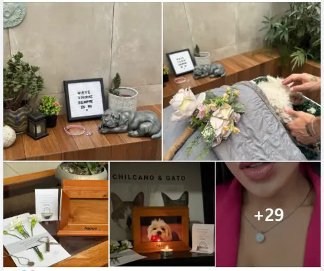 A través de sus redes sociales, Onelia Molina anunció el fallecimiento de su perrita Nieve. Foto: Facebook A través de sus redes sociales, Onelia Molina anunció el fallecimiento de su perrita Nieve. Foto: Facebook