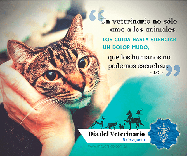 El Día del Veterinario celebra la labor de los médicos veterinarios. Foto: MayorsLab   