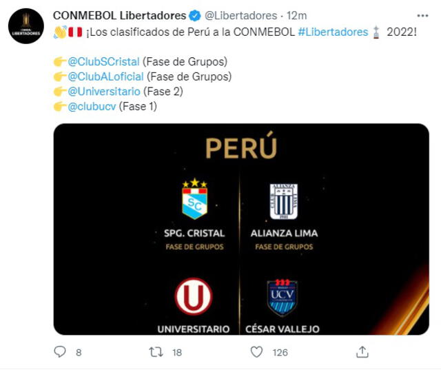 Foto: Captura Copa Libertadores/Twitter