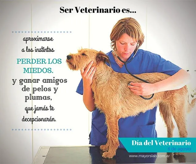 El Día del Veterinario se celebra el 6 de agosto. Foto: mayorslab   