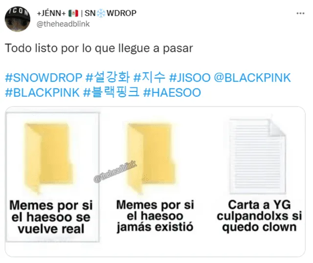 Reacción de BLINK en redes por las fotografías de Jisoo de BLACKPINK y Jung Hae In en Instagram. Foto: captura/Twitter