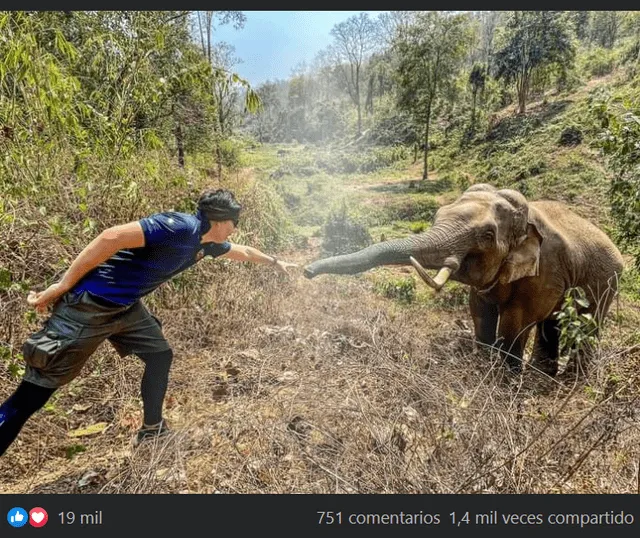 Elefante reconoce a veterinario que le salvó la vida hace 12 años y protagoniza emotivo encuentro