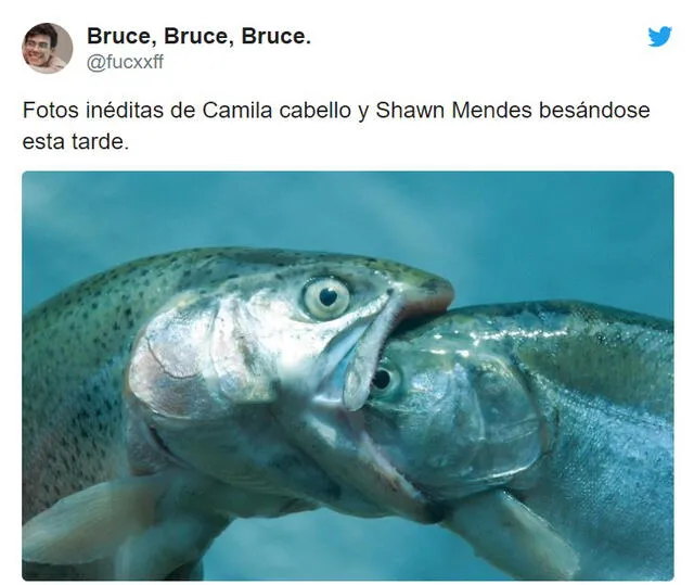 Hilarantes memes tras los apasionados besos de Camila Cabello y Shawn Mendes