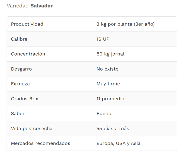 Carlos Gereda: la historia del ingeniero que convirtió a Perú en el primer exportador de arándanos del mundo