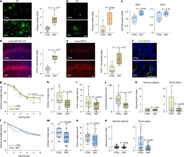 La investigación sugiere una correlación directa entre la carencia de este componente y el avance de la patología neurodegenerativa. Foto: Nature<br> La investigación sugiere una correlación directa entre la carencia de este componente y el avance de la patología neurodegenerativa. Foto: Nature<br>