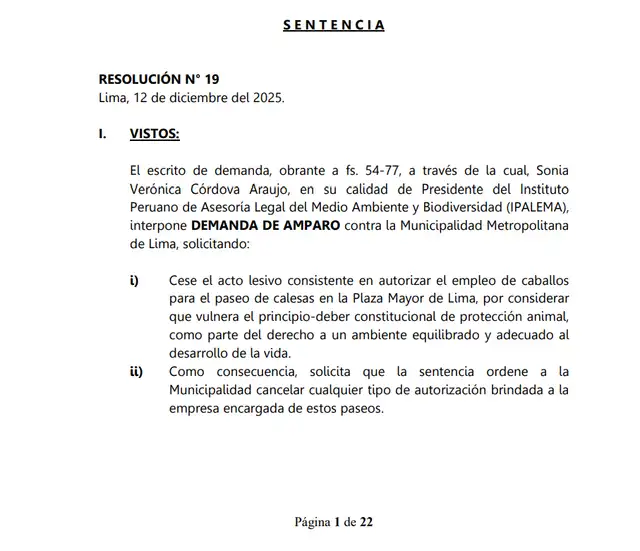  Sentencia que cancela el uso de caballos para paseos turísticos. Foto: Poder Judicial   