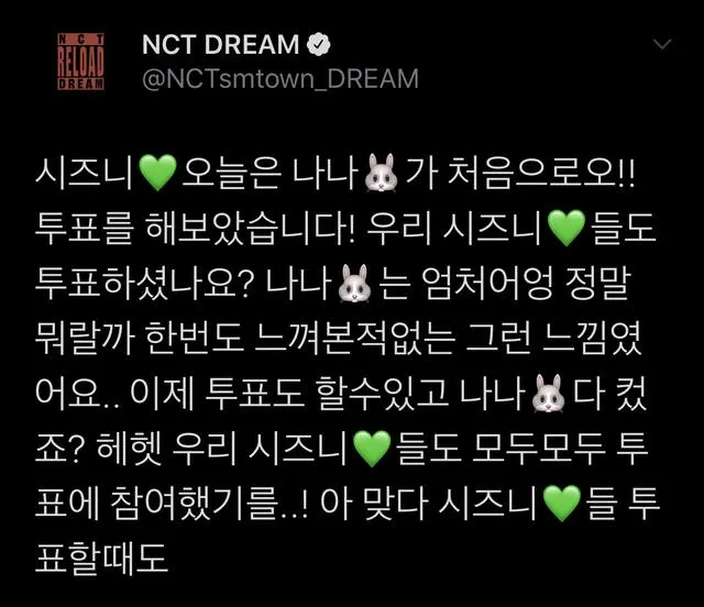 Jaemin, NCT Dream, Kim Ji In