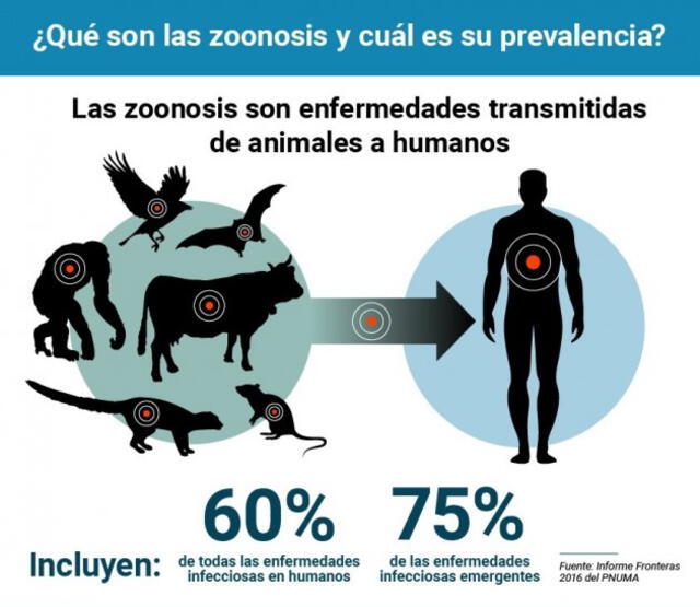 Explicación de la zoonosis. Foto: PNUMA Explicación de la zoonosis. Foto: PNUMA