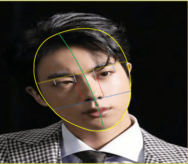 Imagen utilizada por el  Dutch Scientific Analysis para explicar la proporción en los rasgos de Jin de BTS. Foto: Sluis Painting