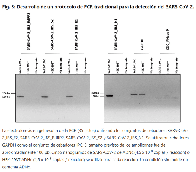 Fig. 3: Desarrollo de un protocolo de PCR tradicional para la detección del SARS-CoV-2.