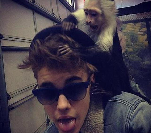 Justin Bieber y el mono capuchino