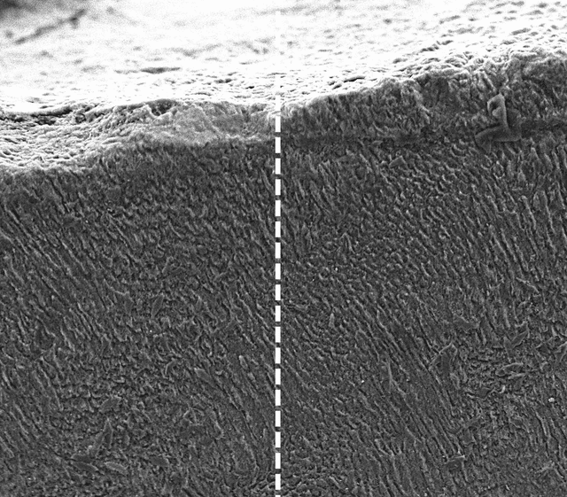  Antes (izq.) y después (der.) del tratamiento de queratina. Foto: King's College   