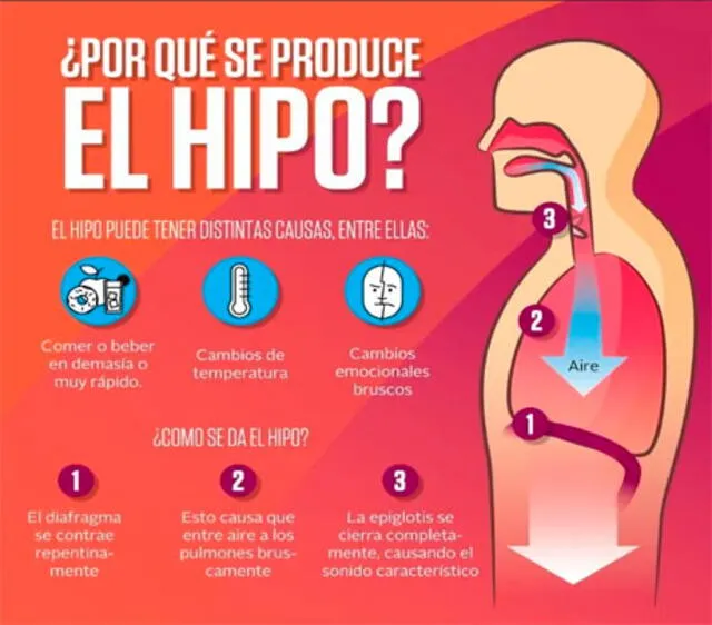 Infografía: ¿Por qué se produce el hipo?