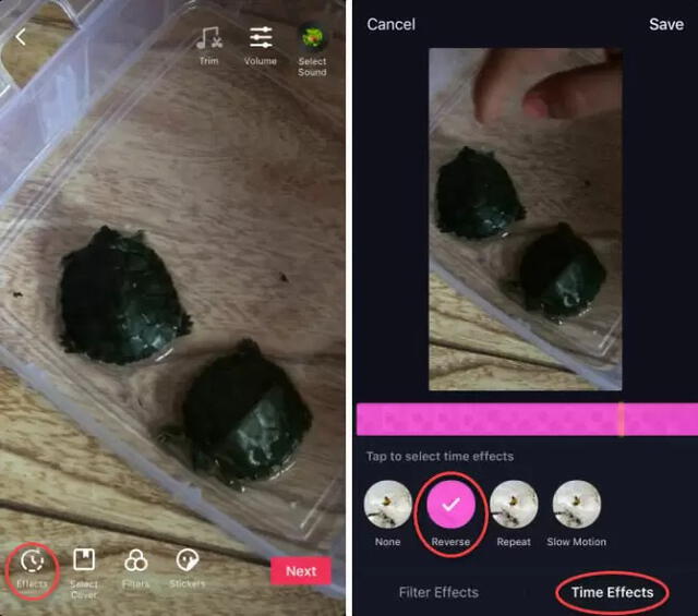 Opción para invertir videos de TikTok.